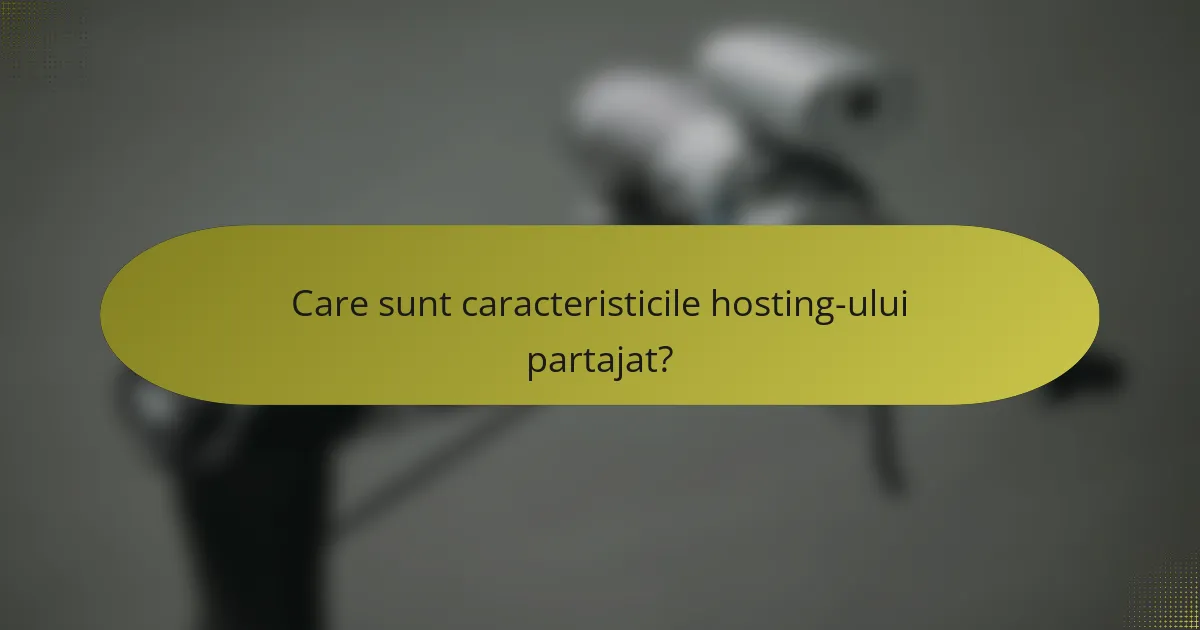 Care sunt caracteristicile hosting-ului partajat?