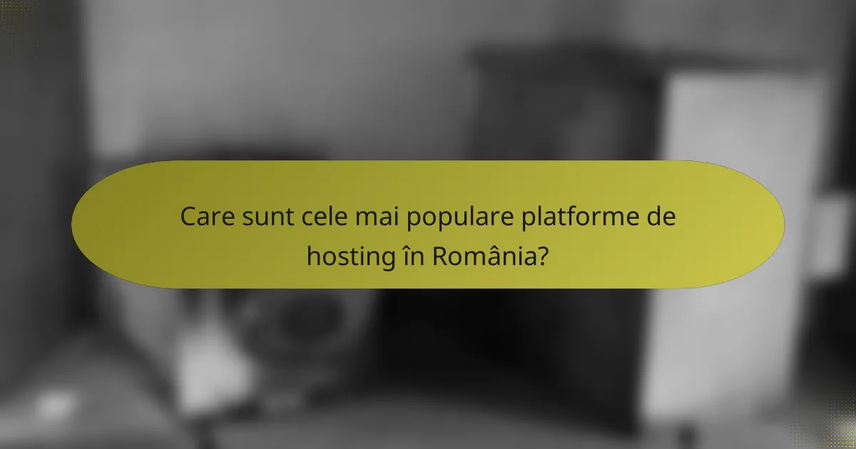 Care sunt cele mai populare platforme de hosting în România?