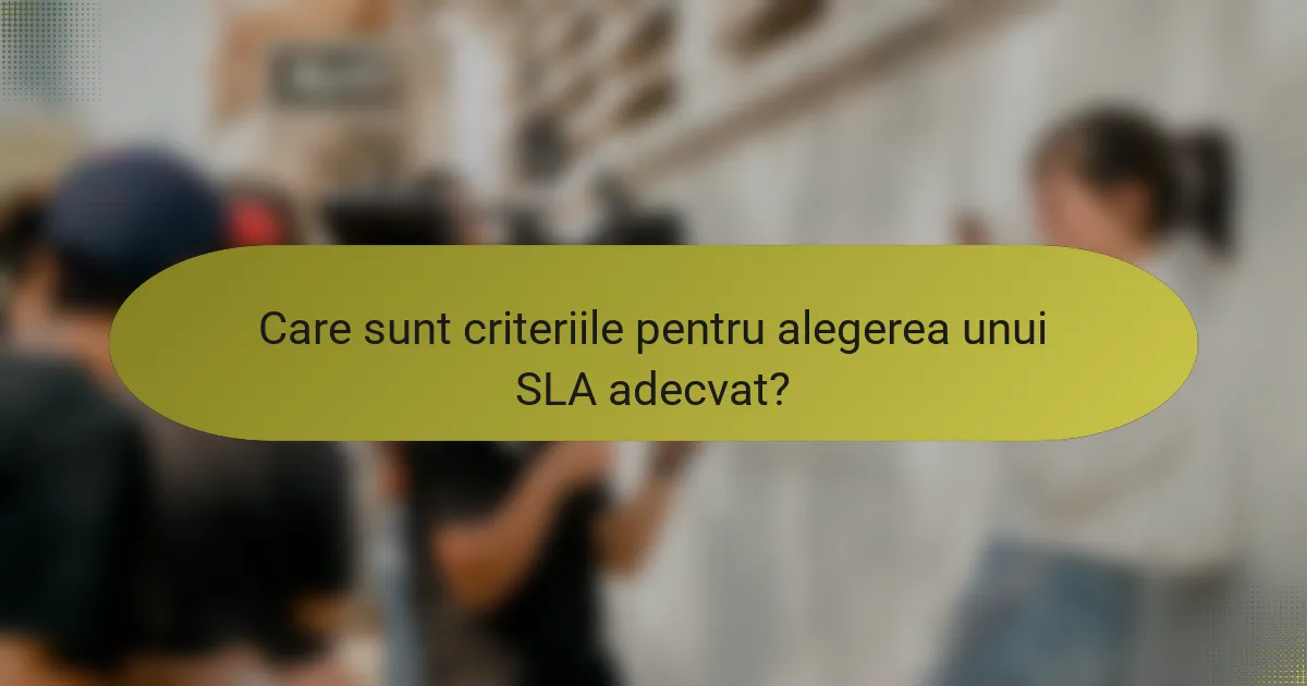 Care sunt criteriile pentru alegerea unui SLA adecvat?