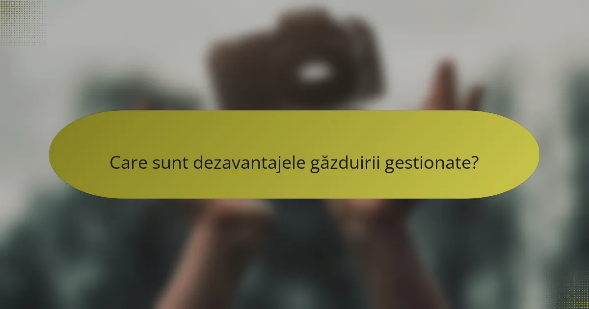 Care sunt dezavantajele găzduirii gestionate?
