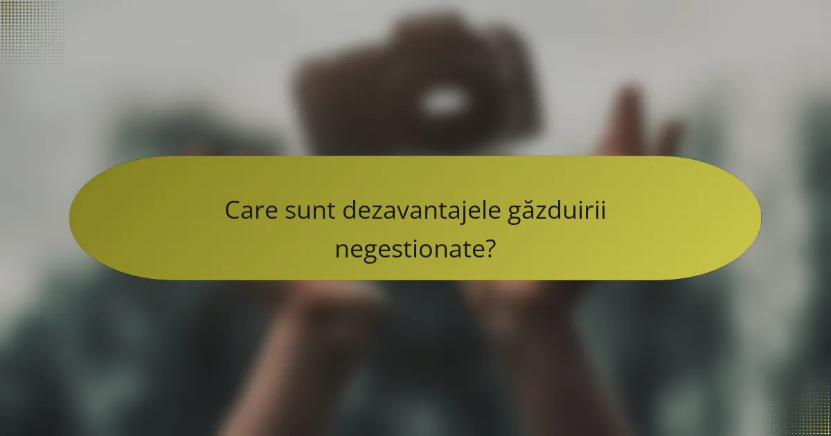 Care sunt dezavantajele găzduirii negestionate?