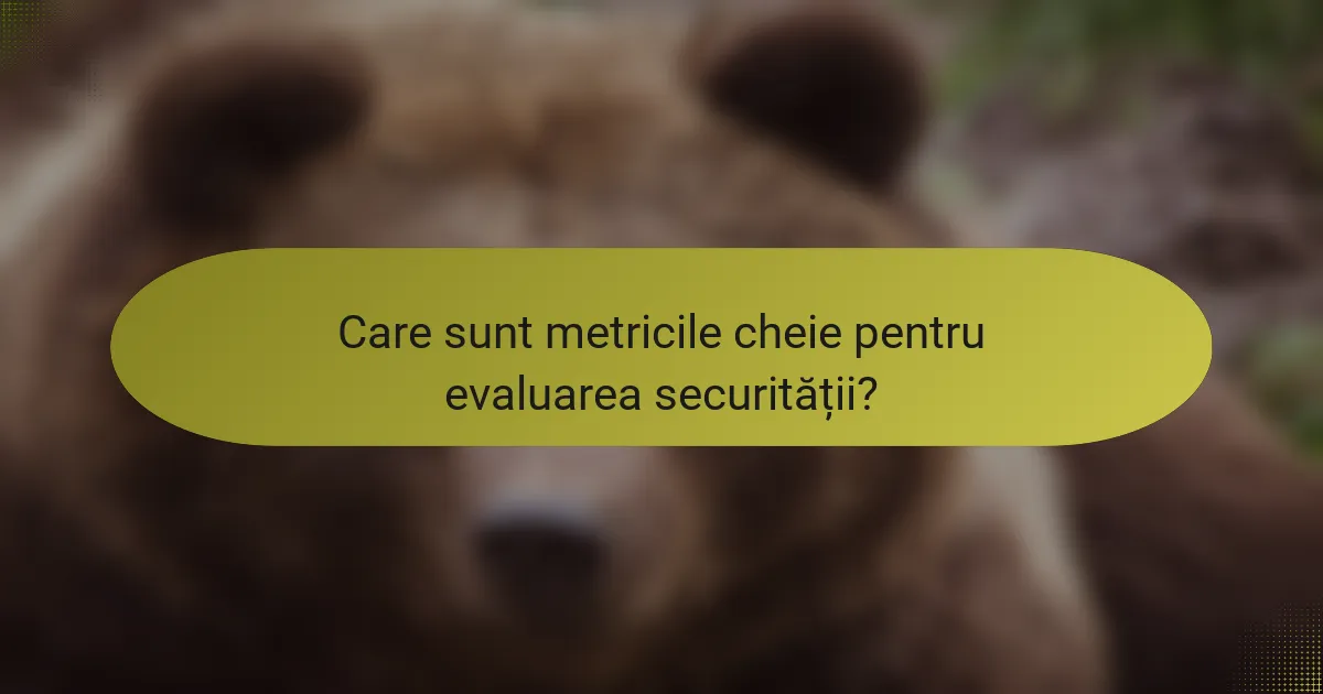 Care sunt metricile cheie pentru evaluarea securității?