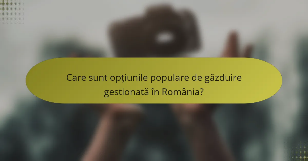 Care sunt opțiunile populare de găzduire gestionată în România?