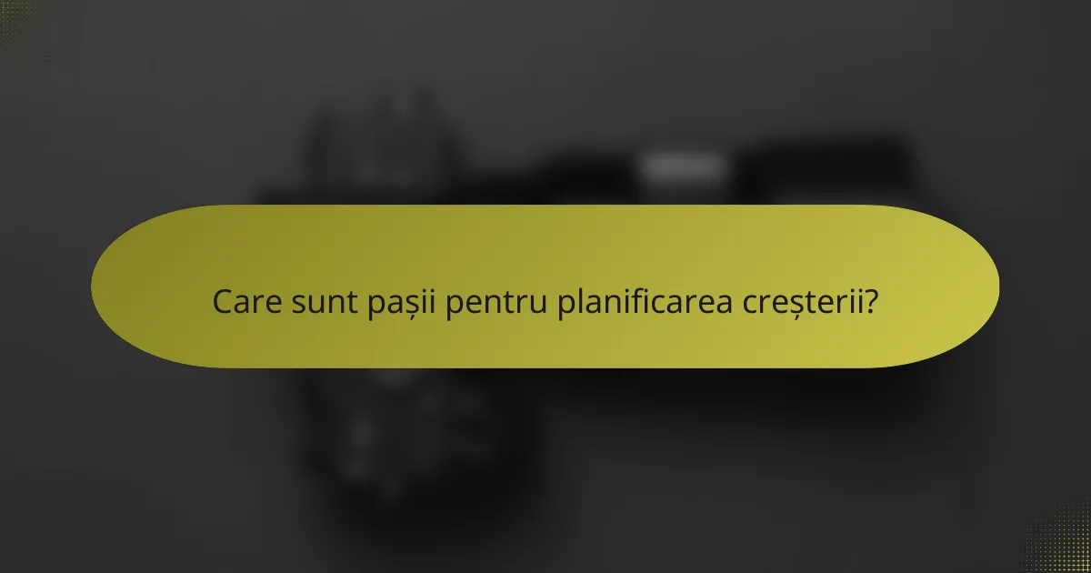 Care sunt pașii pentru planificarea creșterii?