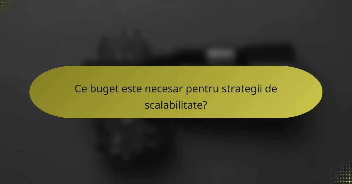 Ce buget este necesar pentru strategii de scalabilitate?