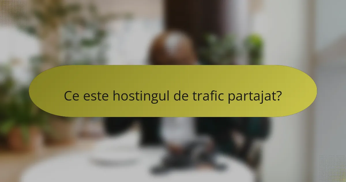 Ce este hostingul de trafic partajat?