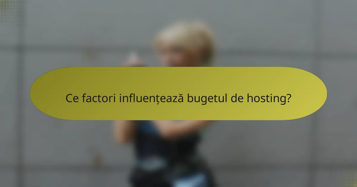 Ce factori influențează bugetul de hosting?
