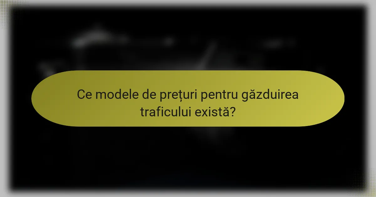 Ce modele de prețuri pentru găzduirea traficului există?