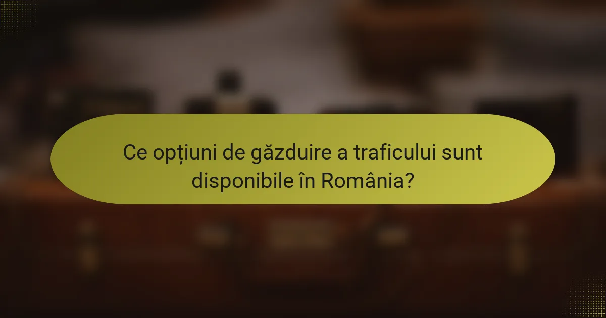 Ce opțiuni de găzduire a traficului sunt disponibile în România?