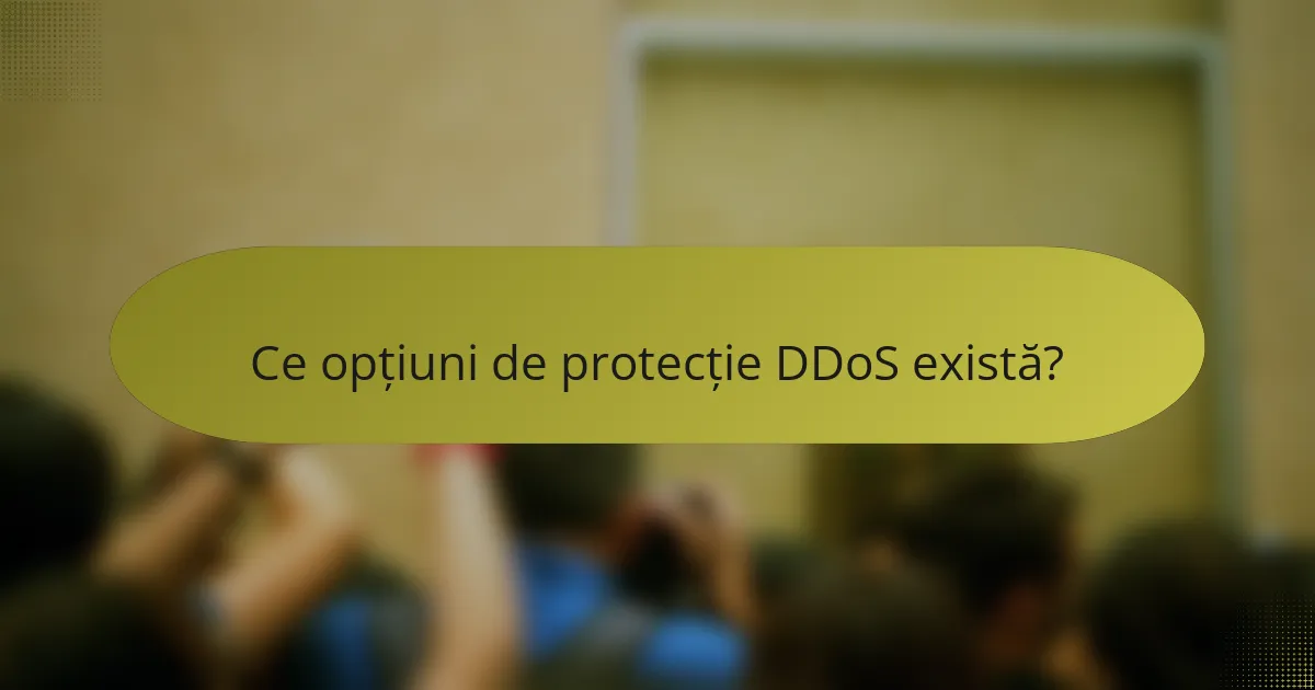 Ce opțiuni de protecție DDoS există?