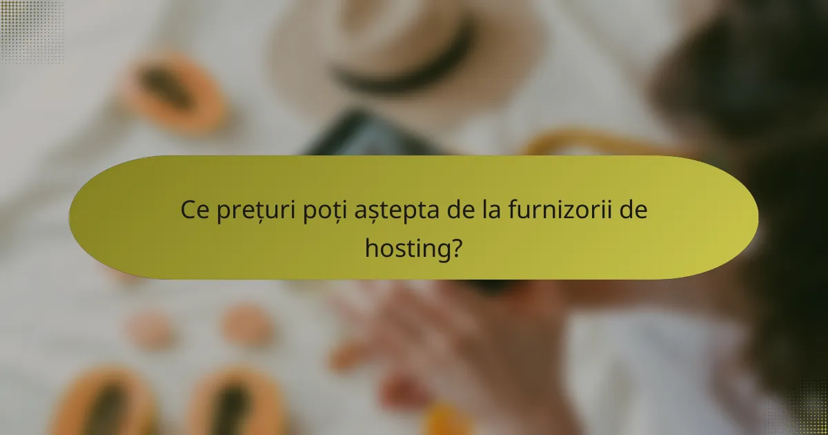 Ce prețuri poți aștepta de la furnizorii de hosting?