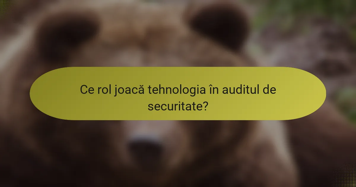 Ce rol joacă tehnologia în auditul de securitate?
