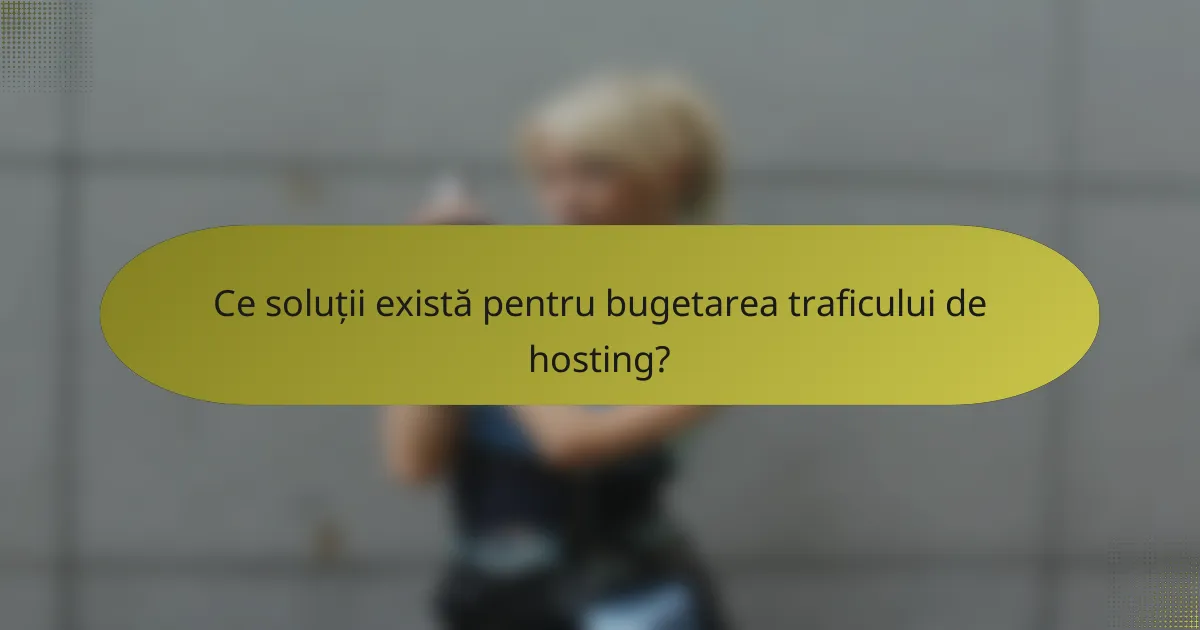 Ce soluții există pentru bugetarea traficului de hosting?