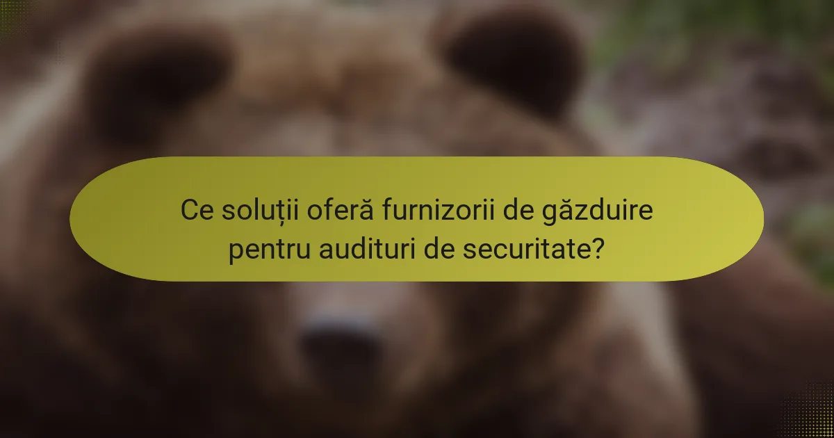 Ce soluții oferă furnizorii de găzduire pentru audituri de securitate?