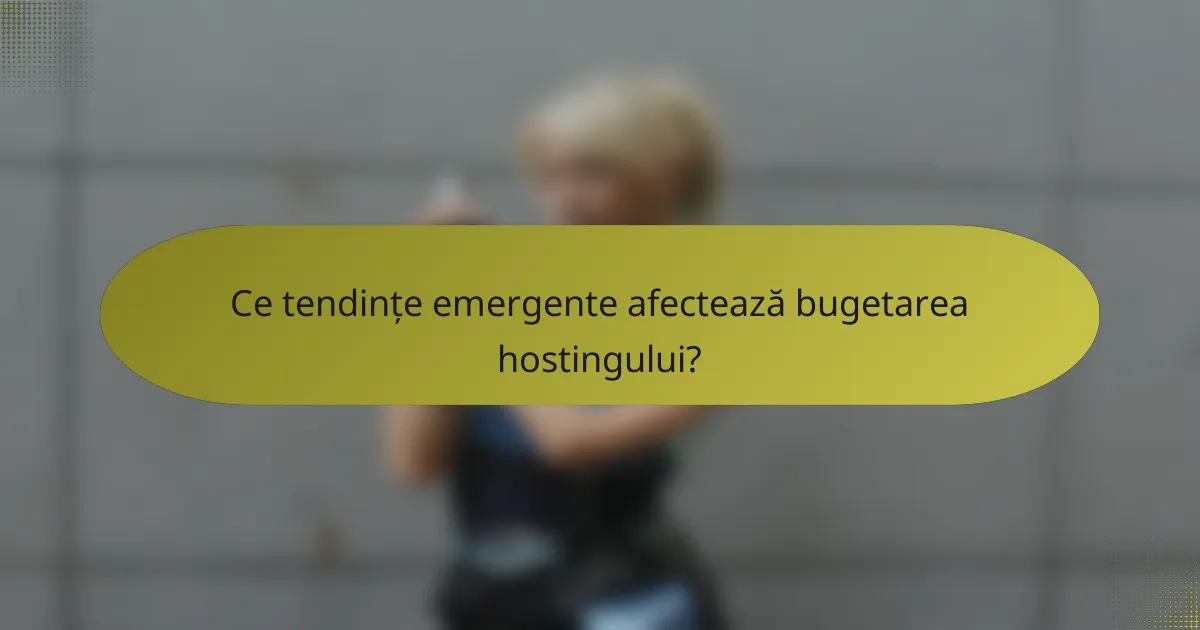 Ce tendințe emergente afectează bugetarea hostingului?