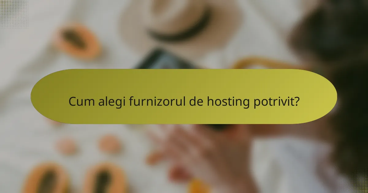 Cum alegi furnizorul de hosting potrivit?