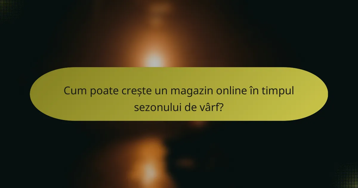 Cum poate crește un magazin online în timpul sezonului de vârf?