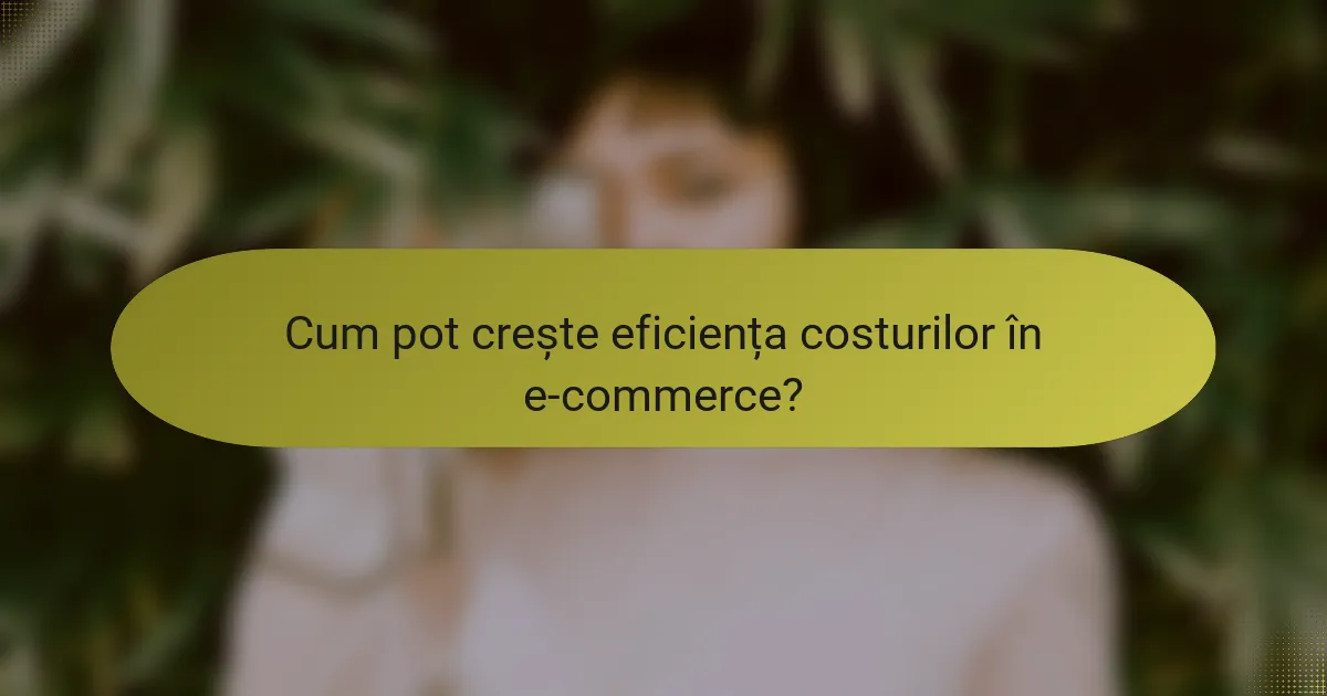 Cum pot crește eficiența costurilor în e-commerce?