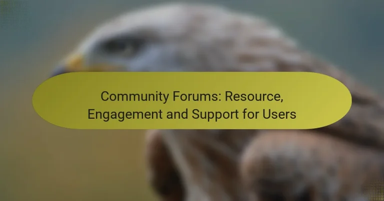 Forumurile Comunității: Resurse, Implicare și Suport pentru Utilizatori
