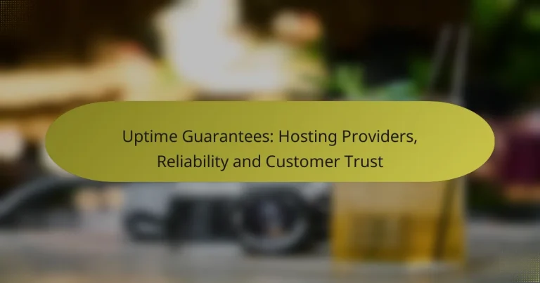 Garanții de Uptime: Furnizori de Hosting, Fiabilitate și Încredere Clienți